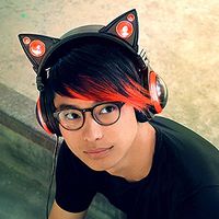 Brookstone Wired Cat Ear Headphones