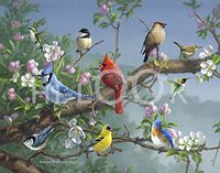 Hi-Look Microfiber Cleaning Cloth - Songbirds in Apple Blossoms