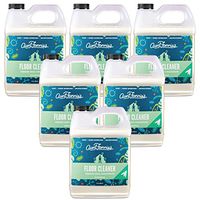 Aunt Fannie's Floor Cleaner Vinegar Wash - Multi-Surface Cleaner - 32 oz. (Eucalyptus, 6-Pck)