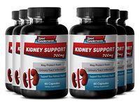 Kidney Pills - Urinary System Support - Kidney Support 700MG - Astragalus Bulk - 6 Bottles (360 Capsules)