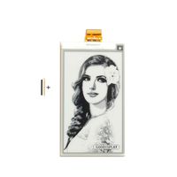 GooDisplay 3.71 Inch E-Paper Screen Eink Display Electronic Paper Display Panel Black and Write 4 Grayscale