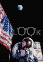 Hi-Look Microfiber Cleaning Cloth - An American Success Story