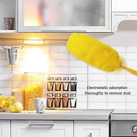 WG Clean Feather Duster Dirt Dust Brush Cleaner Cleaning Tool