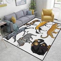Zoo Contemporary Area Rug Large, Collection of Cartoon Style Wild Animals of Africa Fauna Habitat Savannah Wilderness, Easy Maintenance Area Rug Living Room Bedroom Carpet(3'x 8') Multicolor
