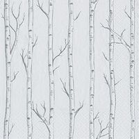 Entertaining with Caspari Birch Cocktail Napkins, White, Box of 40