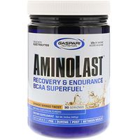 Gaspari Nutrition Amino Last Fitness Powder, Orange Mango Twist, 420 Gram