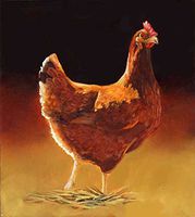 Red Hen Artwork Micro Fiber Cleaning Cloth