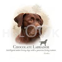 Hi-Look Microfiber Cleaning Cloth, dog design - Chocolate Labrador