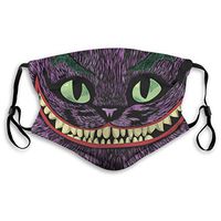 2pcs Ma-sk Wonderland Mad Cheshire Cat Joker PM2.5 Non-Medical Dust with Replaceable Filter Elements