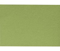 A9 Notecards (5 1/2 x 8 1/2) - Avocado (250 Qty.)