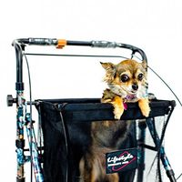 Shop N Go Folding Adjustable Height Walker Rollator + Tote Bag & Tray - Gold Floral