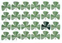 (1) St Patrick's Day Card "Wishing You a Happy St Patrick's Day"