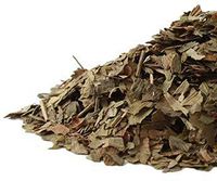 Ginkgo Leaf c/s (2 lb)
