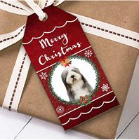 Old English Sheepdog Dog Christmas Gift Tags (Present Favor Labels)