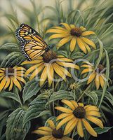 Hi-Look Microfiber Cleaning Cloth - Monarch