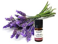 Lavender French 100% Pure Essential Oil 20ml