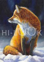 Hi-Look Microfiber Cleaning Cloth - Fire and Ice