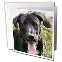 3dRose Black Labrador Puppy - Greeting Cards, 6 x 6 inches, set of 6 (gc_48741_1)