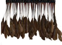 Zucker Feather Products Bleached Stripped Coque Feather, 6 to 8-Inch, Brown