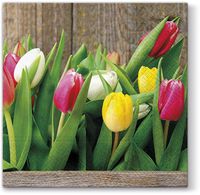Colorful Tulips Paper Luncheon Napkins 40pcs
