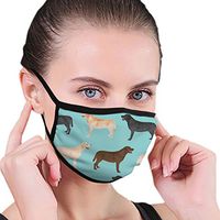 Unisex Cute Labradors Yellow Chocolate Black Lab Pet Dogs 6.8“ X 4.7”Inch Face Mouth Mask Cotton, Washable, Reusable Cloth for Cycling Camping Travel