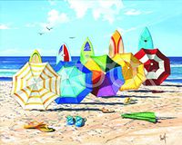 Hi-Look Microfiber Cleaning Cloth - Brellas and Broadstif