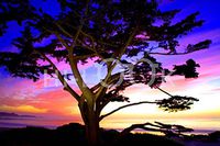 Hi-Look Microfiber Cleaning Cloth - Carmel Cypress, California Coast