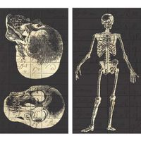 HomArt Infirmerie General Skeleton Large Decorative Matches Set of 3 matchboxes