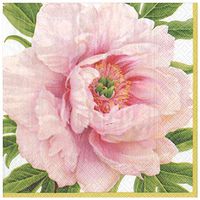 Caspari Blush Paper Dinner Napkins - 40 Per Package