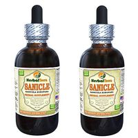 Sanicle (Sanicula Europaea) Tincture, Dried Herb Liquid Extract (Brand Name: HerbalTerra, Proudly Made in USA) 2x2 fl.oz (2x60 ml)