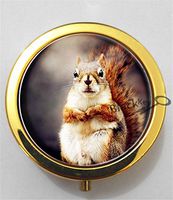 BlackKey Squirrel 3-Compartment Decorative Pocket Gift Box Case Organizer for Pill, Color 2 -2228