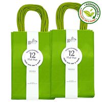 Gift Expressions Paper Gift Bags, 24 Count, Green Kraft Paper Bags, 5.25” x 8.5” x 3.5", 100% Recycled, Thick & Durable Eco Friendly Paper Bags with Handles, Goodie Bags, Party Bags