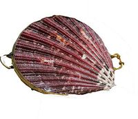 Clamshell Coin Purse Pill Box PURPLE MEDIUM