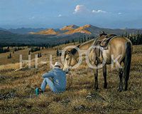 Hi-Look Microfiber Cleaning Cloth - Coffee Break