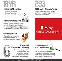 KGC Cheong Kwan Jang Korean Red Ginseng Extract Powder Tea (3 Gram x 100 Bags)