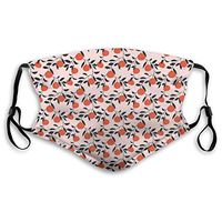 Fashion Comfortable Windproof mask,Abstract Repeating Pattern with Mandarins On Leafy Branches,Printed Facial Decorations for Unisex M