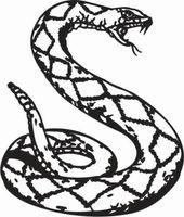 ELKS Unique Design Curled UP Snake Hissing Python CAR Decal Sticker, Green, 8 Inch, Die Cut Vinyl Decal, for Windows, Cars, Trucks, Toolbox, Laptops, MacBook-virtually Any Hard Smooth Surface