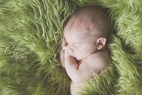 Faux Mongolian Fur Photography Prop, Newborn Prop, Basket Stuffer, Layering Blanket, Rug (Medium, 20"x36", Olive)