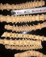 60pcs Selected Profesional Narrow Knuckles Bamboo for pipemaker