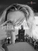 Hi-Look Microfiber Cleaning Cloth - Self Exposed