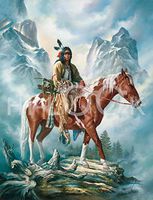 Hi-Look Microfiber Cleaning Cloth - They Call Me Wolf