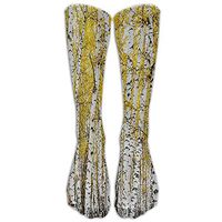 Autumn Birch Forest Golden Leaves Upgraded Knee High Graduated Compression Socks For Women And Men - Best Medical, Nursing, Travel & Flight Socks - Running & Fitness.