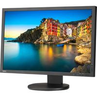 NEC 24" Display