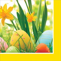 Creative Converting 18 Count Lunch Napkins, Exceptional Eggs