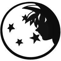 DBZ Dragon Ball Z - Super Saiyan Four Stars Goku Silhouette - Decal Sticker by SSTS Prints