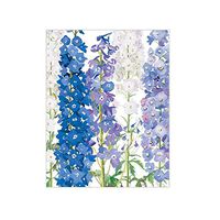 Caspari Delphiniums Gift Enclosure Cards, 20 with Envelopes