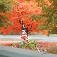 American Flag Autumn Micro-Fiber Cleaning Cloth