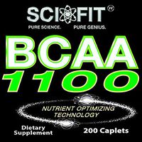 BCAA 1100 ER (1100mg/Serving - 200 Tablets)
