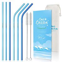 REUSABLE METAL STRAW SET - ONE OCEAN STRAWS Blue Stainless Steel 10.5" Metal Straws 6 pack with Reusable Pouch Case and Cleaning Brush - Blue - Eco Friendly