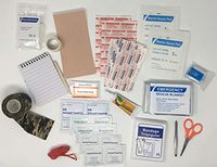 Scout Personal First-Aid Kit - Build-A-Kit Supply Bundle (Contains All Required Items to Make Boy Scout (BSA) Compliant Personal First-Aid Kits) (1-Pack)